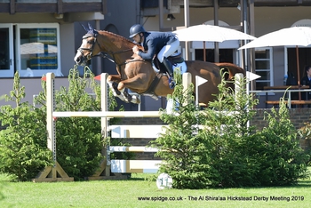 Veteran horse takes Williams to second Hickstead win this week